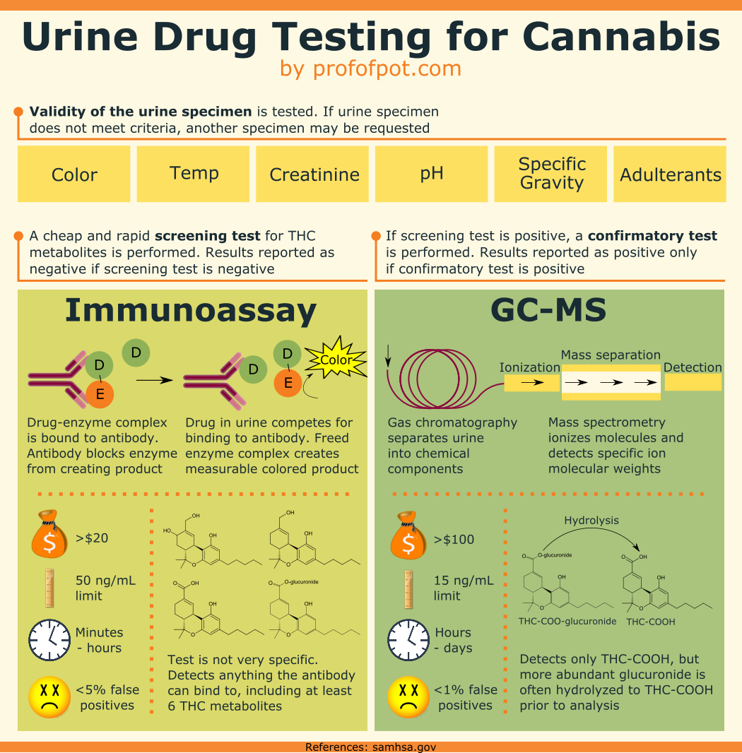Guide to urine drug testing for marijuana (with infographic)