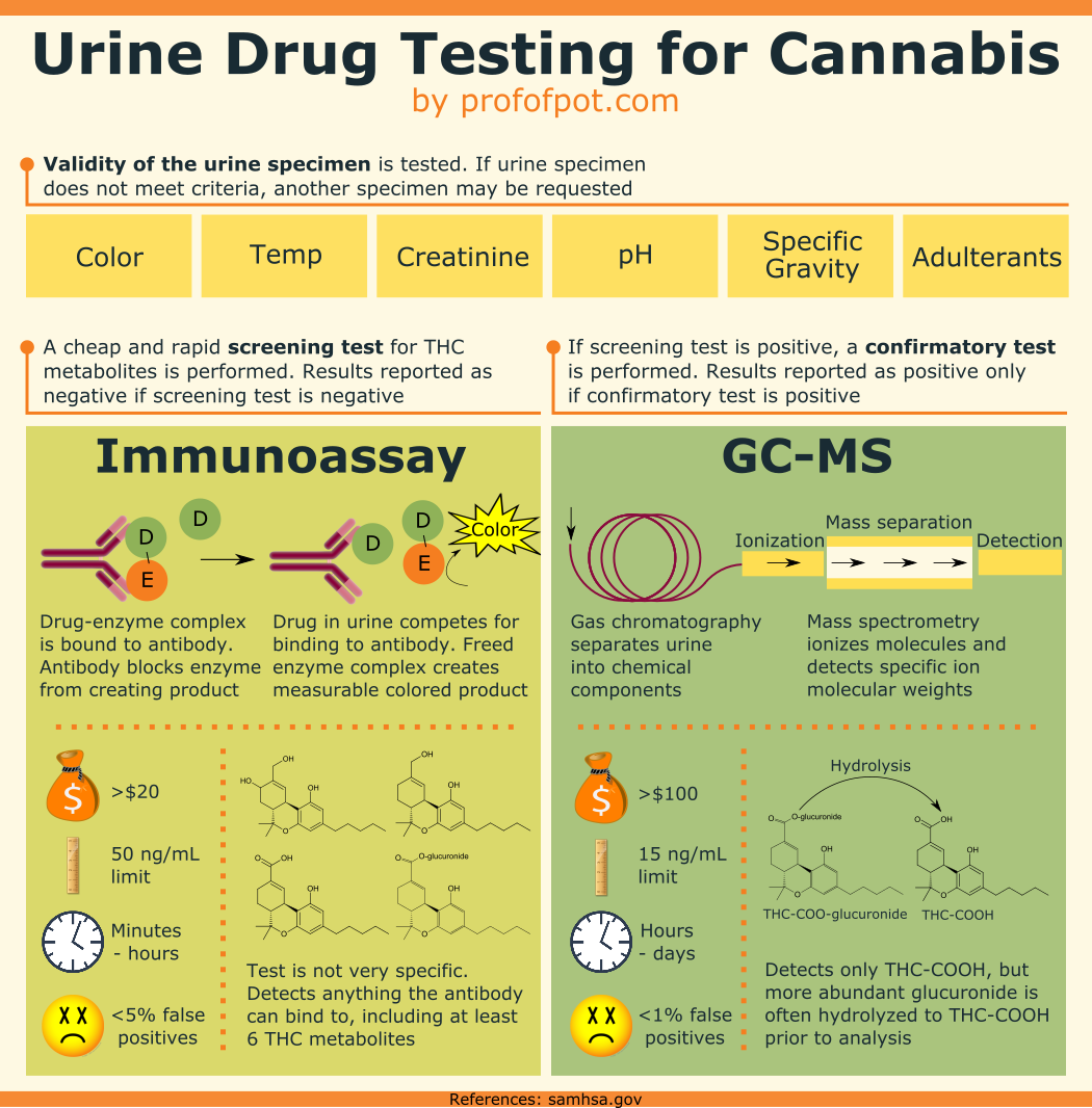 Marijuana Drug Test Detection Chart